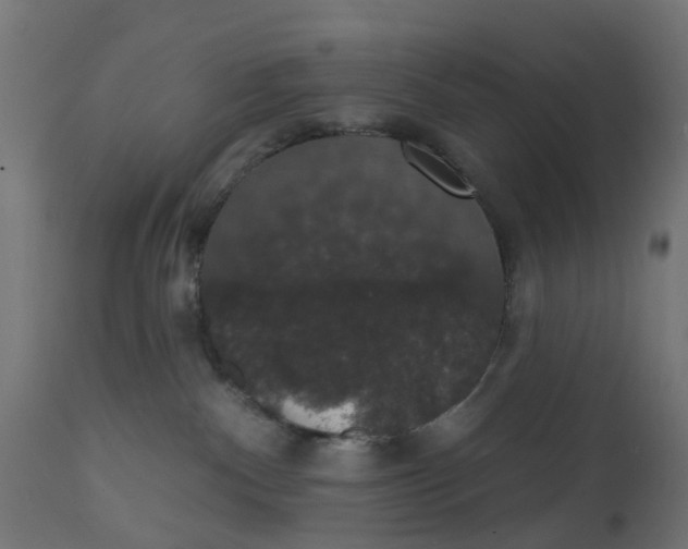 X0000111520140200907281348