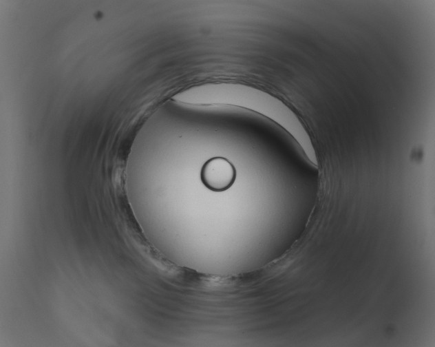 X0000111520141200907281348