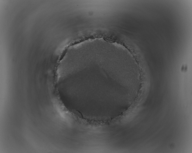 X0000111520144200907281348