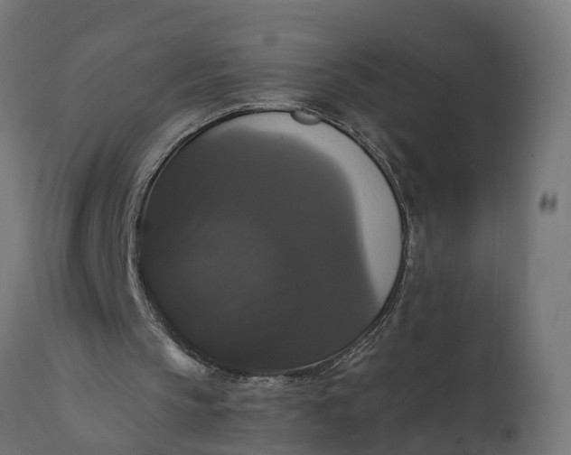 X0000111520145200907281347