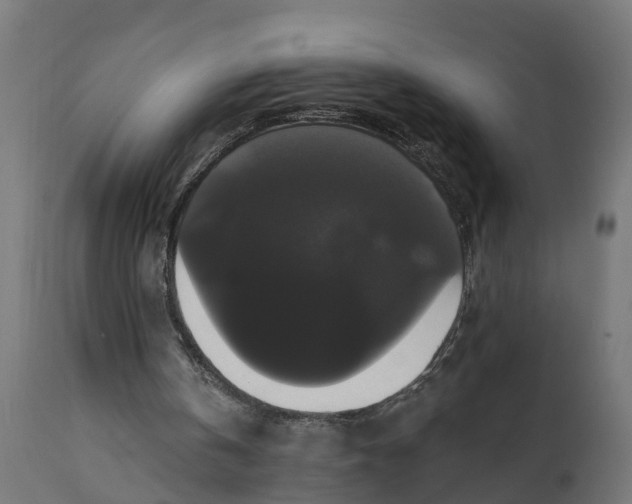 X0000111520146200907281347