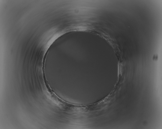 X0000111520147200907281347