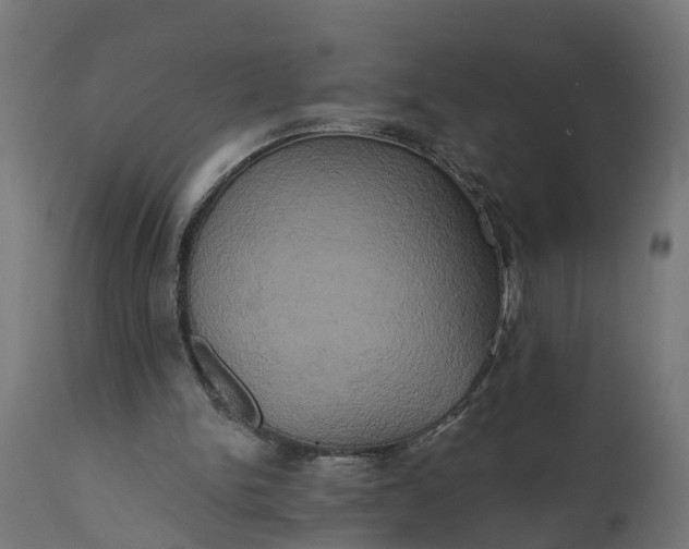 X0000111520150200907281347