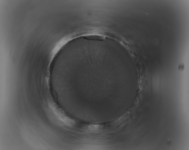 X0000111520152200907281347