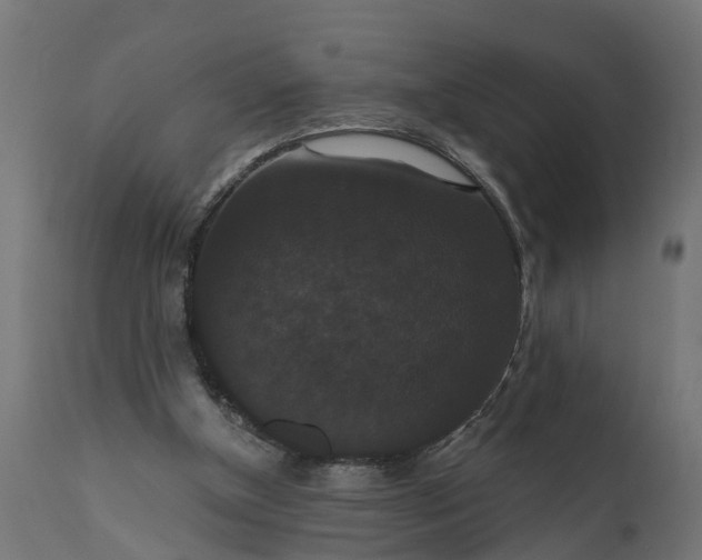 X0000111520154200907281347