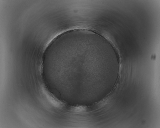 X0000111520156200907281347