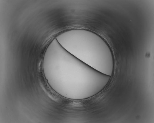 X0000111520157200907281347