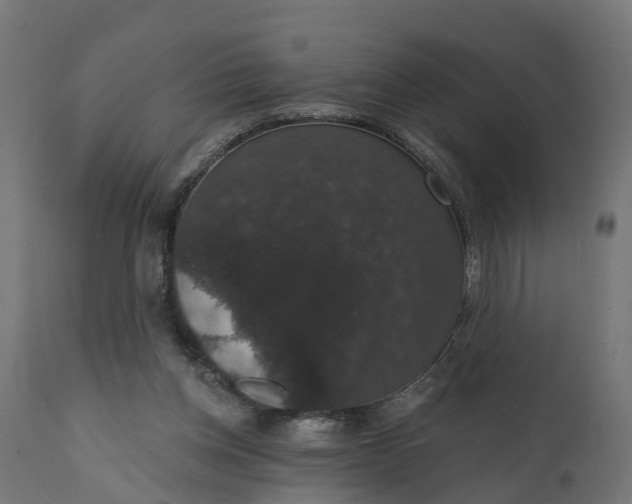 X0000111520158200907281347