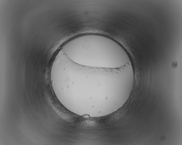 X0000111520159200907281347