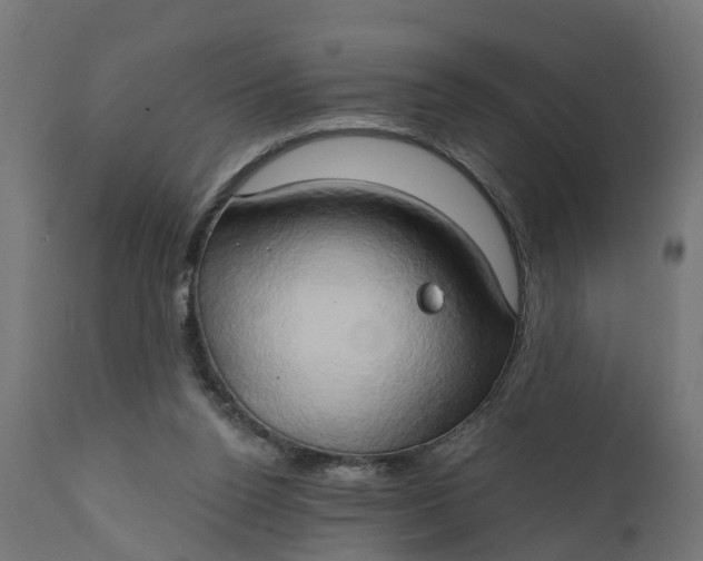 X0000111520160200907281347