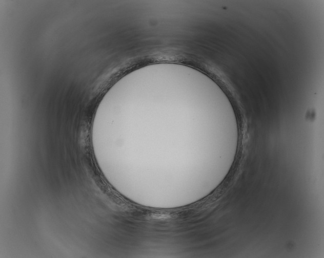 X0000111520161200907281347