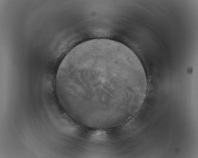 X0000111520162200907281347
