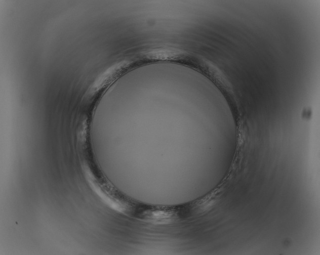 X0000111520163200907281347