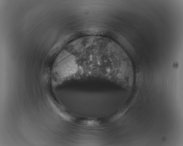 X0000111520165200907281347