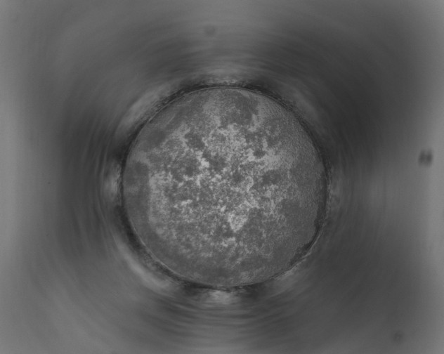 X0000111520166200907281347