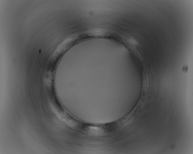 X0000111520167200907281347