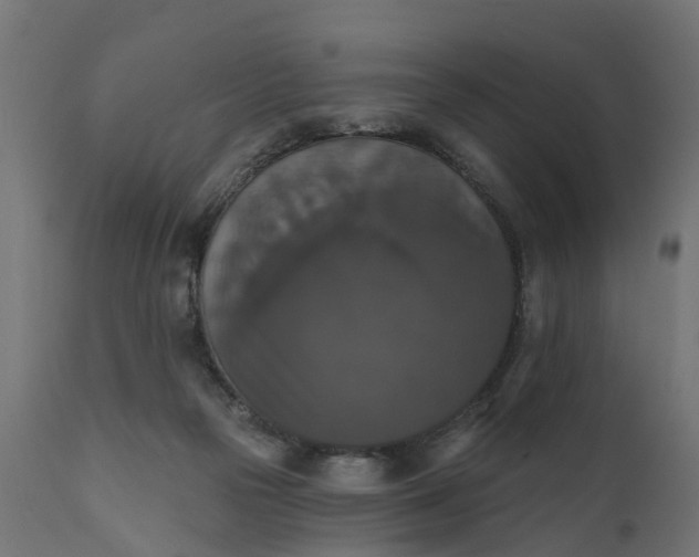 X0000111520169200907281347