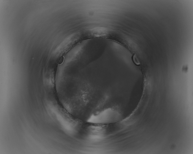 X0000111520170200907281347