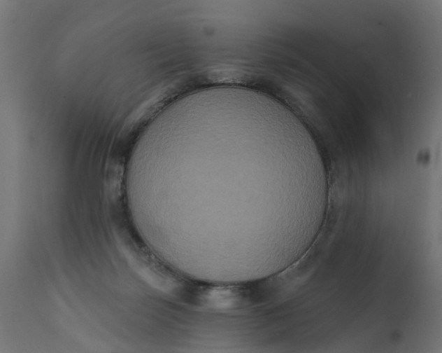 X0000111520171200907281347