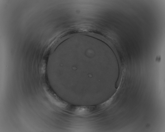X0000111520174200907281347