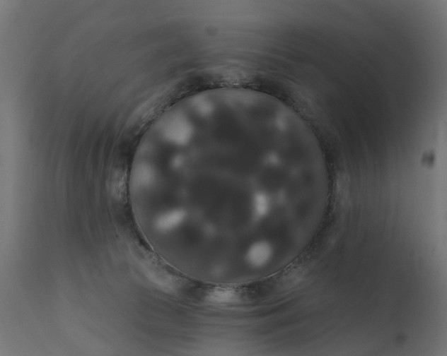X0000111520177200907281347
