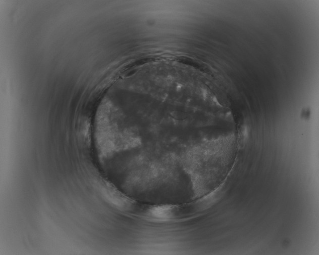 X0000111520178200907281347
