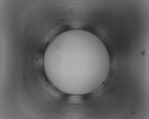X0000111520179200907281347