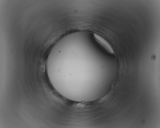 X0000111520180200907281347