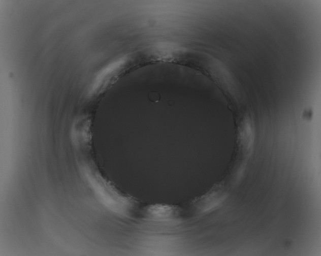 X0000111520181200907281347