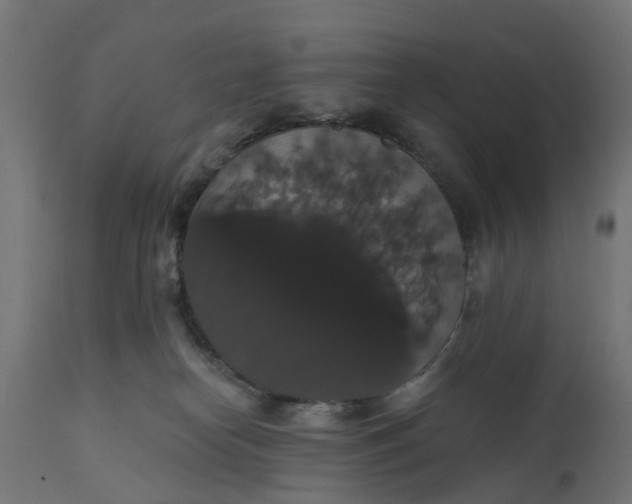 X0000111520182200907281347