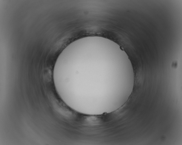 X0000111520183200907281347