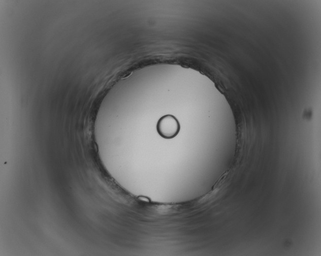 X0000111520184200907281347