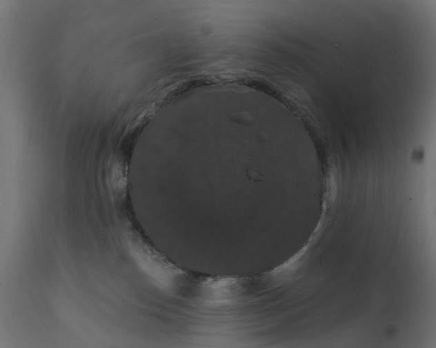 X0000111520186200907281348
