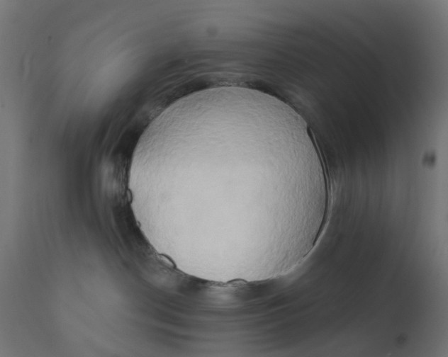 X0000111520190200907281348