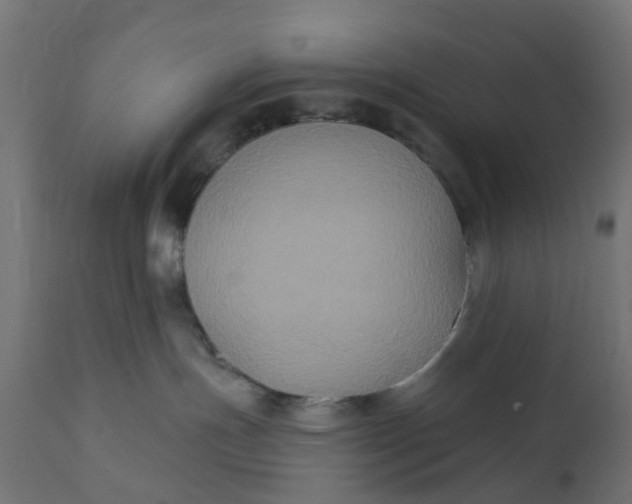 X0000111520191200907281348