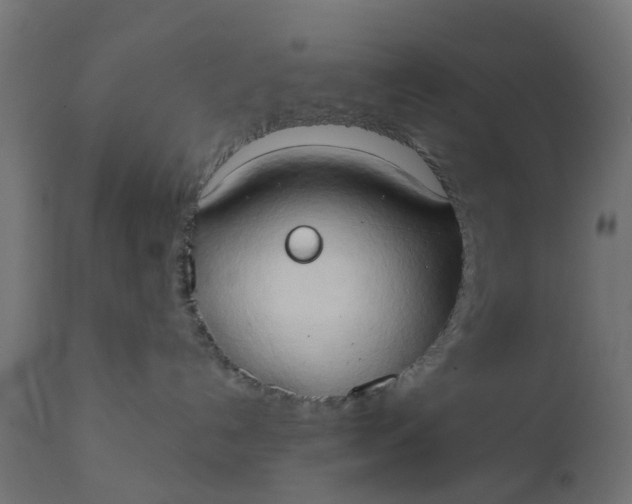 X0000111520192200907281348