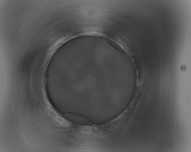 X0000111520193200907281347