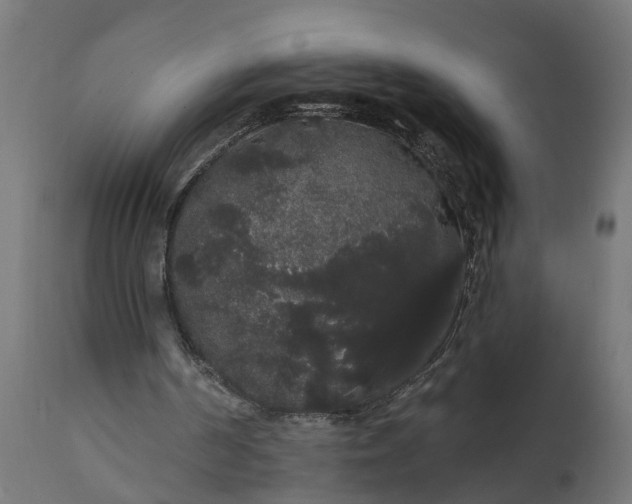 X0000111520194200907281347