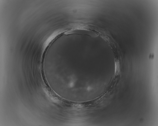 X0000111520195200907281347