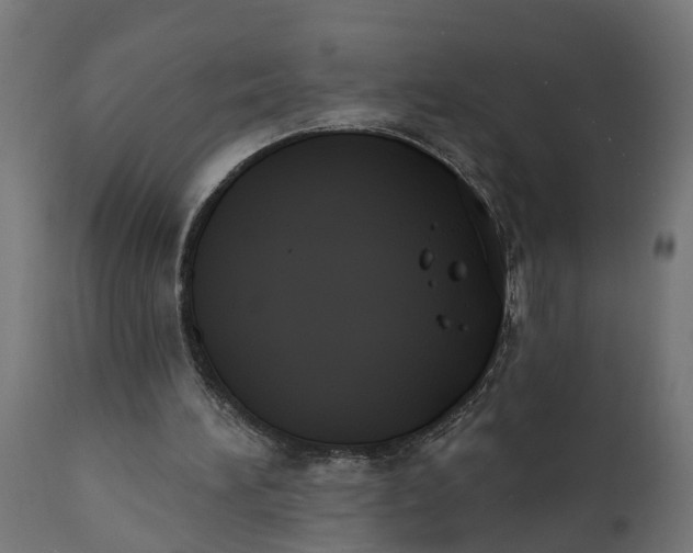 X0000111520196200907281347