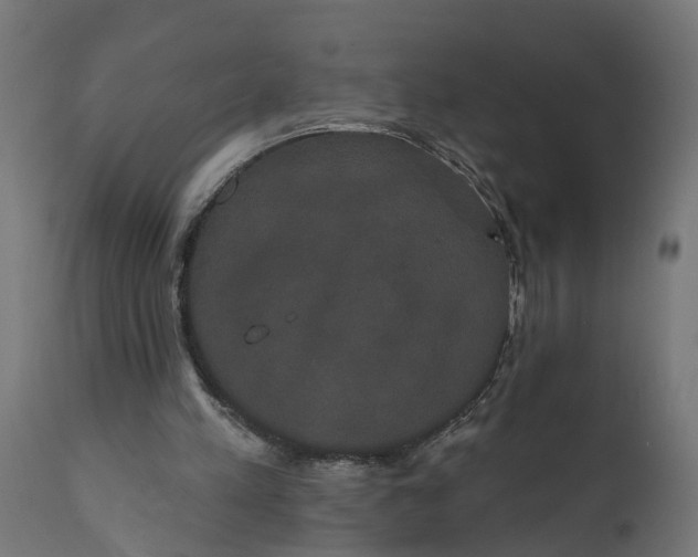 X0000111520197200907281347