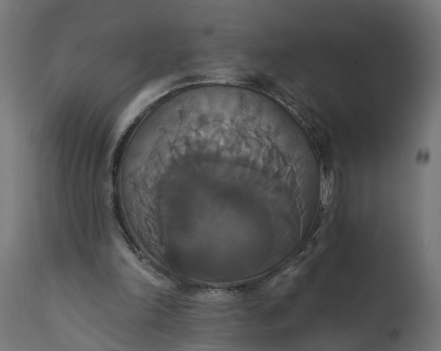 X0000111520198200907281347