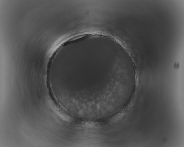 X0000111520199200907281347