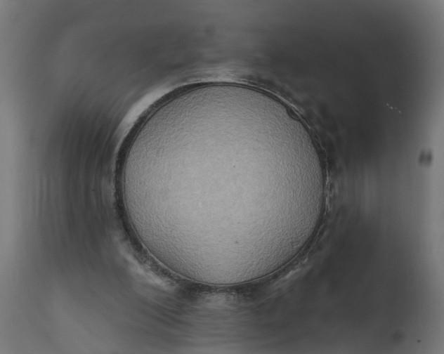 X0000111520200200907281347