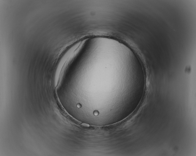 X0000111520201200907281347