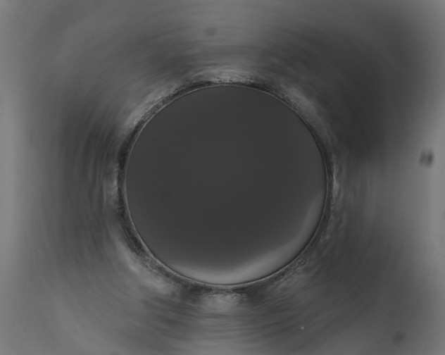 X0000111520202200907281347