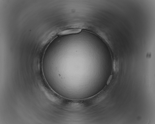 X0000111520205200907281347