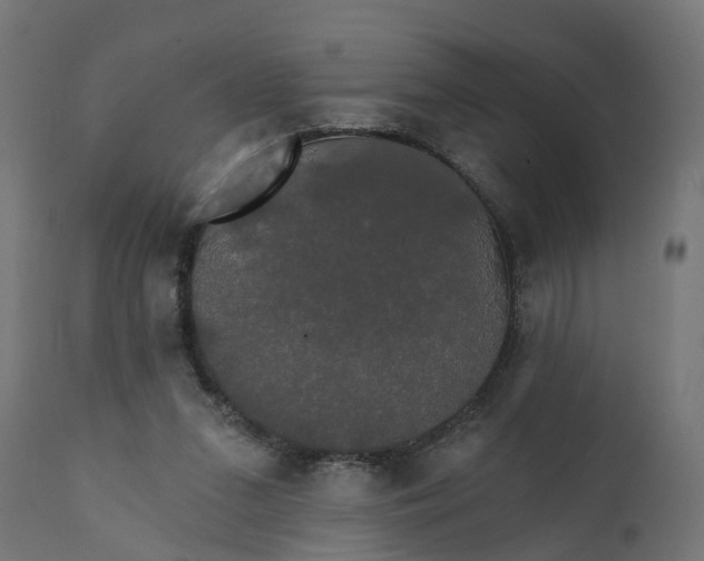 X0000111520207200907281347