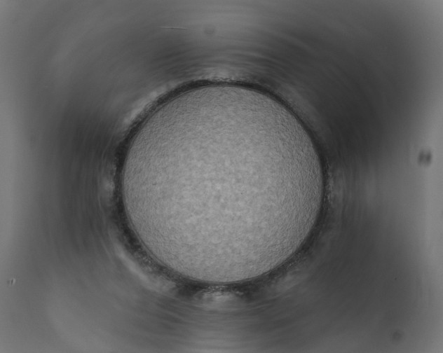 X0000111520208200907281347