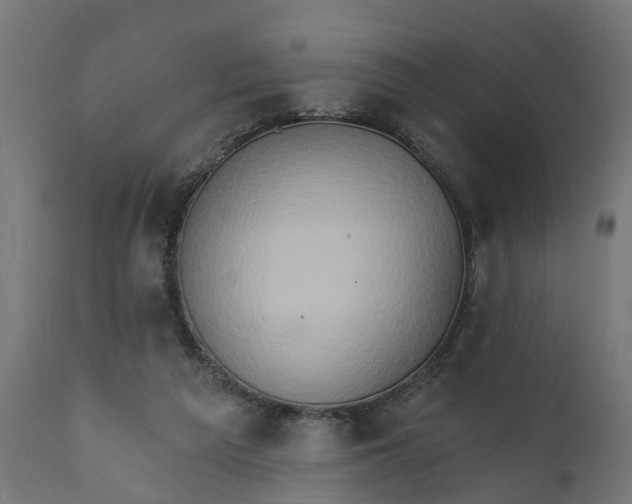 X0000111520209200907281347